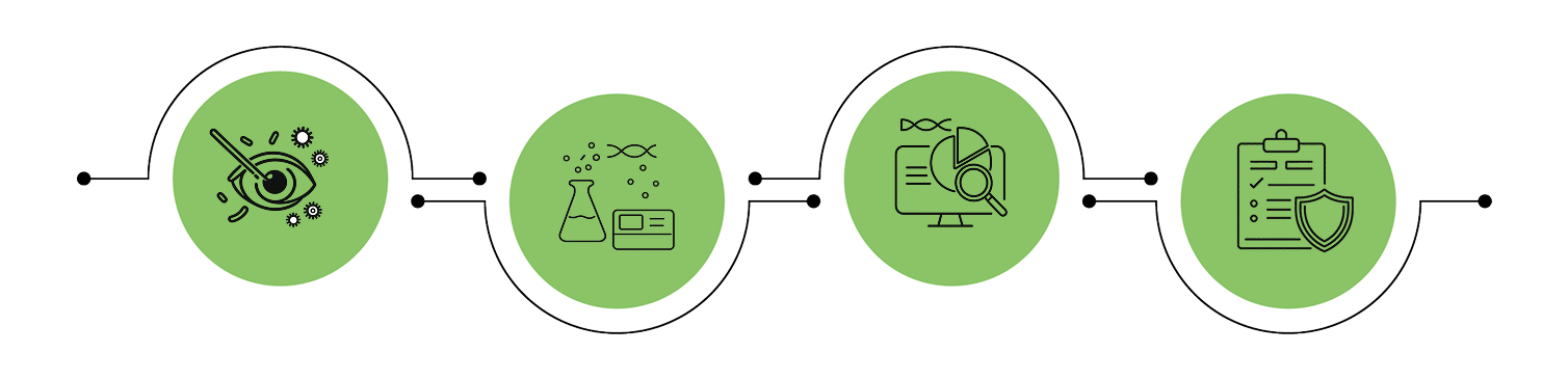 Workflow Diagram